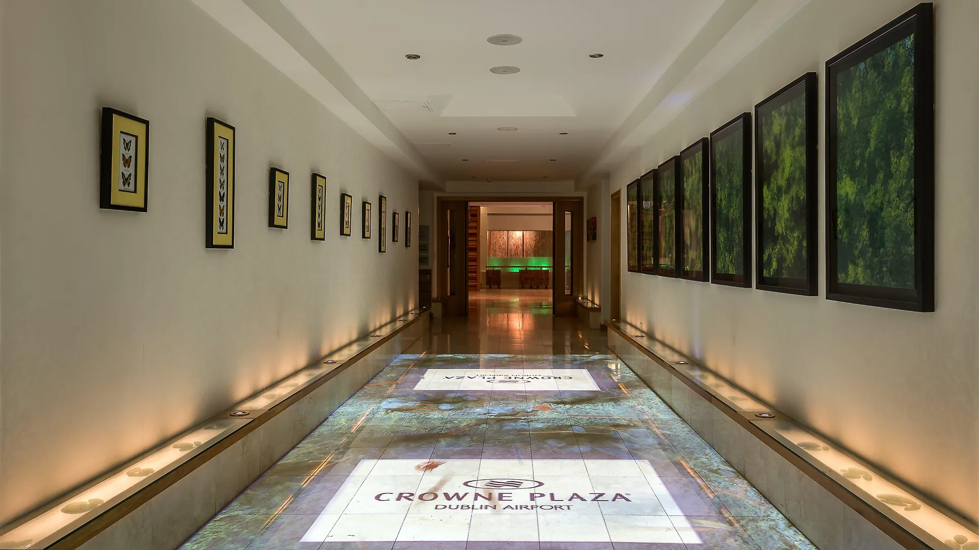 Crowne Plaza Dublin Airport By Ihg Hotel Santry